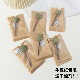 Factory direct supply new cat mint toys pure plant teeth cleaning cat toys cat mint lollipop wholesale