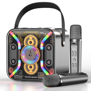 Outdoor SP300 portable wireless karaoke machine Bluetooth audio dual microphone microphone colorful lights live audio
