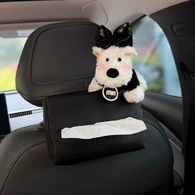Car tissue box/set — for Women
