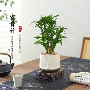 ���F�����ԾGֲ�辰�͏d�҃�������B����ļ�����ֲ����ؔ�ͶY