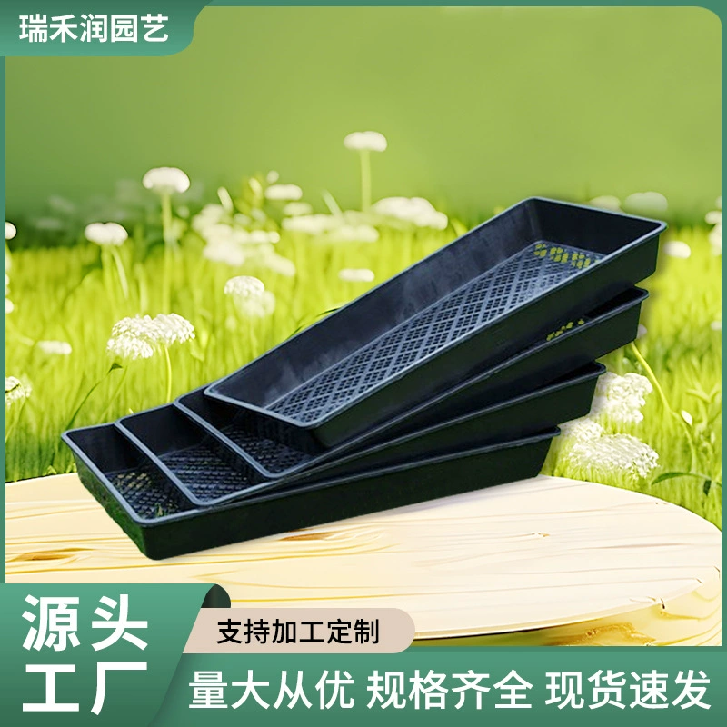 Новый прямоугольный пластиковый лоток для рассады, лоток для рассады суккулентов, лоток с отверстиями, лоток для рассады, лоток для рассады дендробиума