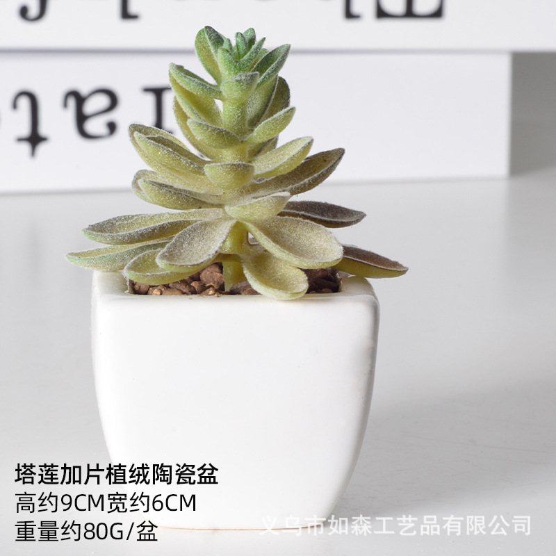 Simulación de cerámica bonsai de carne doméstica decoración de escritorio de oficina plantación verde maceta props de disparo maceta combinada artificial image 34
