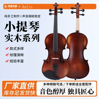 Aulis实木手工初学者小提琴成人儿童学生普及练习考级小提琴