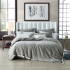 60TS-12 Star Gray Silver