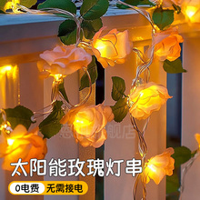 led����õ�廨�����̨�ڗU�����b�СԺ�쾰�������շՇ��b�