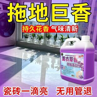 Lavender Floor Cleaner Decontamination Wash Floor Wood Floor Tile Brightening Household Fragrance Floor Cleaner