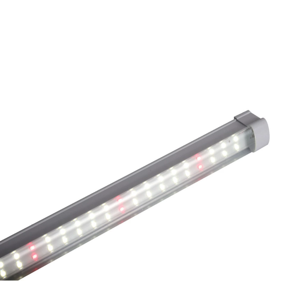 LED-лампа полного спектра для выращивания внутри помещения tissue culture овощей tissue culture растений коллоус водонепроницаемая лампа для роста растений фотосинтез