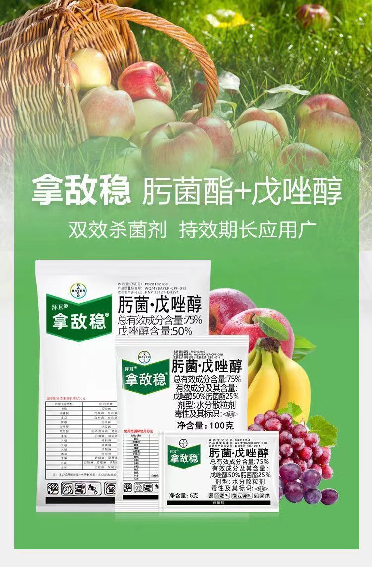 微信图片_20240609105243