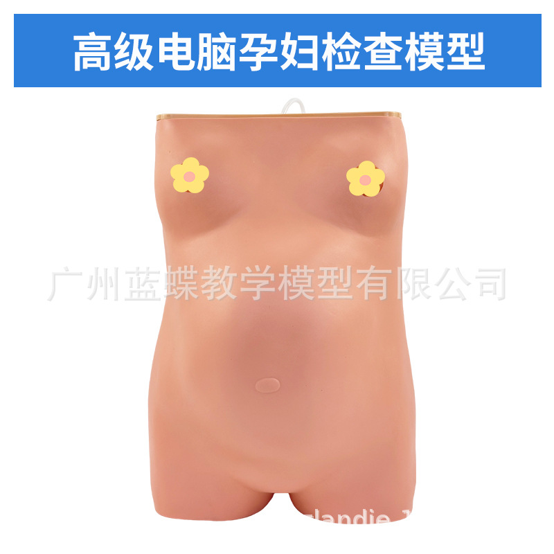 �߼������и����ģ�Ϳ���̥���Ķθ�������̥����������ѵ��ģ��