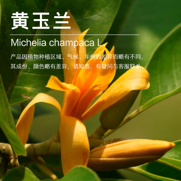 ��Ӧ���������� ������ȡ���������� ������ֲ�ﾫ��������ӭ�ɹ�