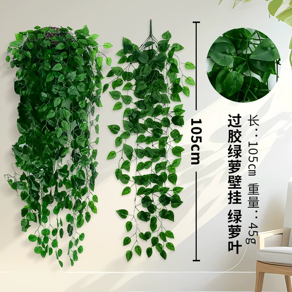 9 prongs of glued small leaf pothos wall hanging