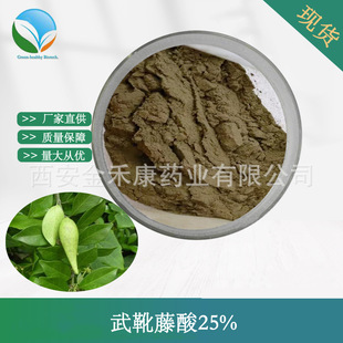 ��ѥ����25%  ��ѥ����ȡ�� ��ѥ�ٷ� �׸����� �S�ҬF؛���]