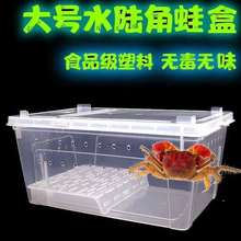 水陆饲养盒角蛙乌龟螃蟹饲养盒龟缸干湿分离水陆两栖饲养盒