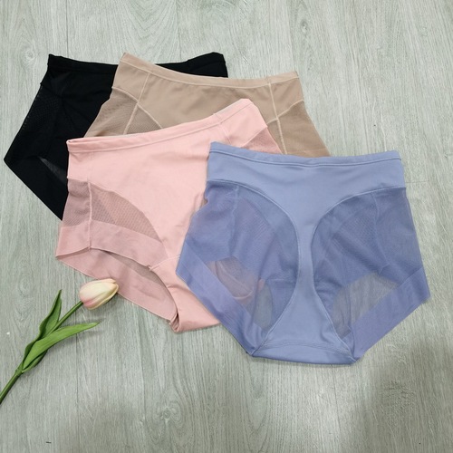 Cross-border European and American mid-waist women's briefs, transparent mesh briefs, waist and tummy control, comfortable, traceless and highly elastic women's underwear