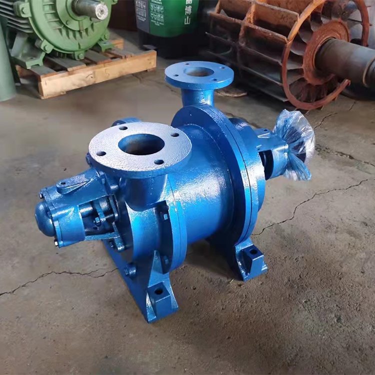 水环式真空泵 不锈钢材质 欢迎来电 效率较高 大容量