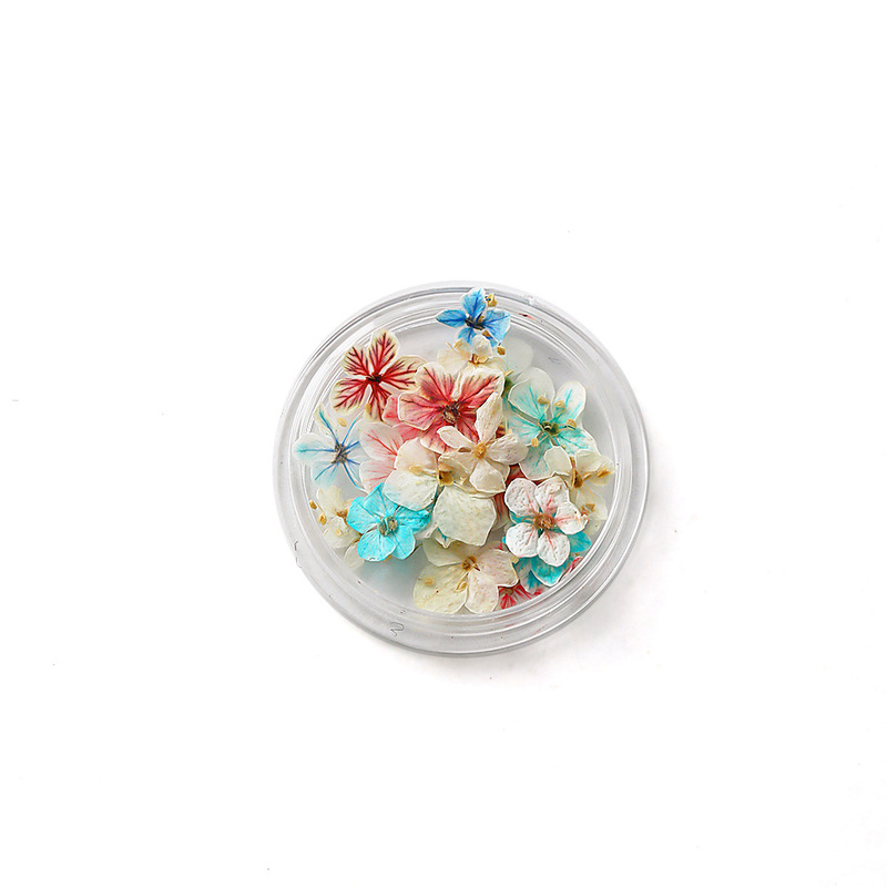 网红美甲干花夏日渐变花朵混彩天然压花干燥DIY盒装穿戴甲材料品|undefined