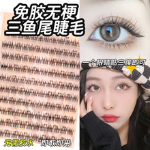 ʮ��120���~β��ٽ�ë����Ȼ�o�����ַ���ֶβ����۴���������