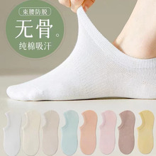�m��Ů�ļ�����͸�⼃�޶��m�����W���[�δ��m���z�������������m