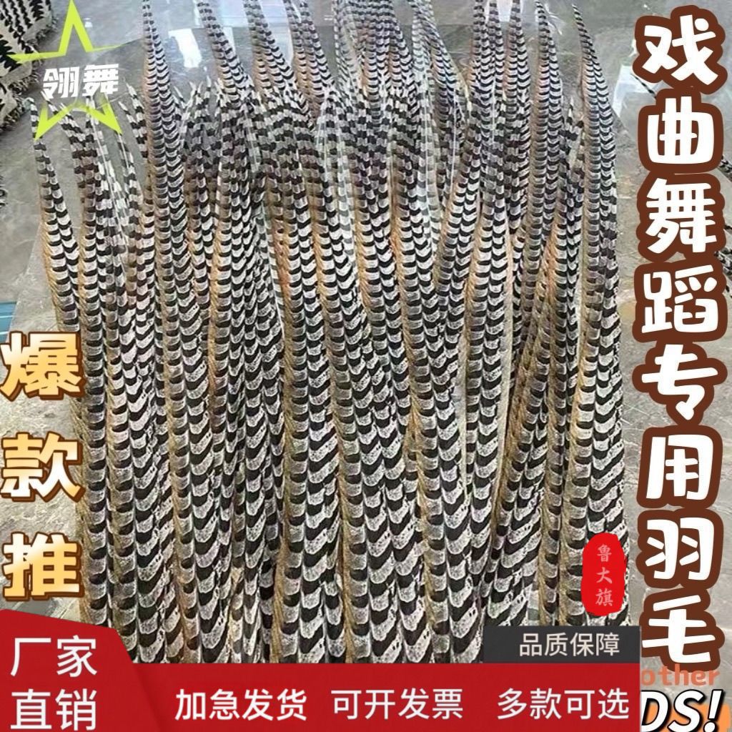 仿真地鸡毛京剧翎子戏曲俏花旦头饰孙悟空野山鸡毛羽毛舞蹈道具