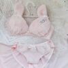 Japanese velvet winter comfortable wireless bra, set, underwear, with embroidery