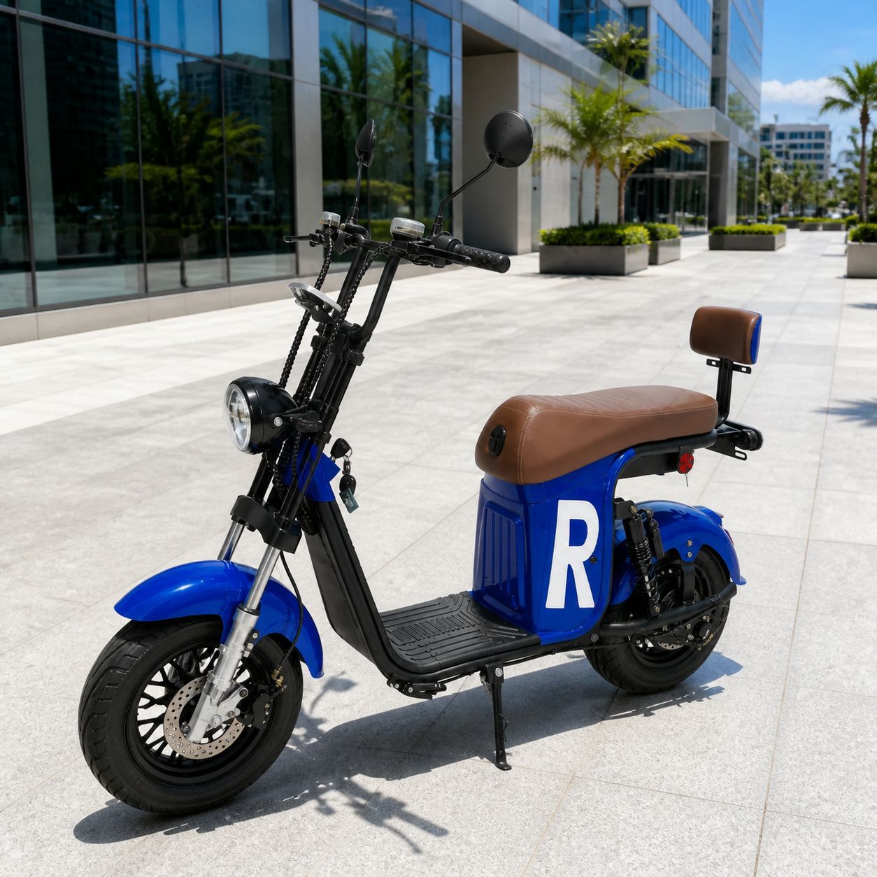 Brazil Harley Citycoco large wheel wide tire electric vehicle adult electric bicycle electric motorcycle battery vehicle manufacturer