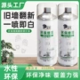 内墙墙面涂鸦翻新墙漆