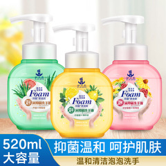 低刺激性クレンジングフォームハンドソープ 抗菌 家庭用 業務用 ホテル用 洗い流さない アロエベラの香り フォームハンドソープ 卸売