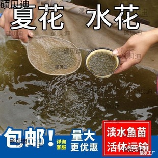 ˮ���~�����l�a�~�~���~���^�����������~���~����~�N���~