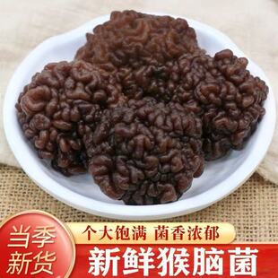 ���X�� ������ ������500g�˺��Ҿ� ���X�� ���N����ľ��һ�����l