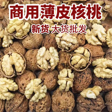 薄皮核桃丑核桃新货纸皮薄壳跑江湖地摊干山核桃大优核桃批发