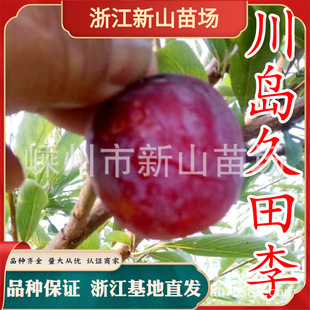 �t�������Ә����ձ��޽Ӵ��u��������������ش��Ϸ��N����Y��