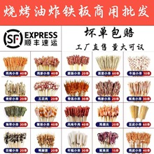 ְСţ⴮cըFƷßʳll