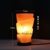 Torch salt light