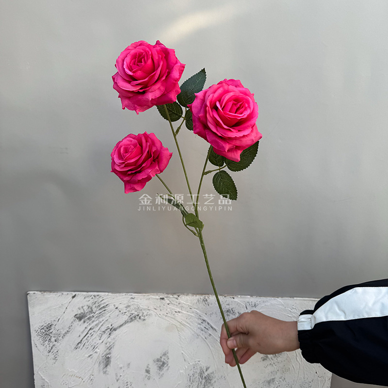 Real object without green leaves 3-head lover rose rose red