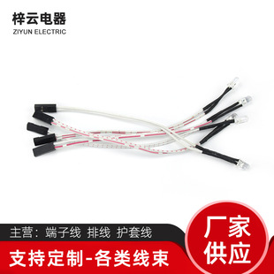 �S�Ҷ��ưl����O��  ��������B�Ӷ������ξ������� LED�����ӹ�