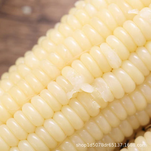 2025�|���Ŵ�����ك��S���װ�Ŵ�������������������ճ���S���]