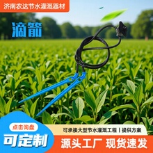 滴箭蔬菜花园灌溉滴箭套装压力补偿防滴漏滴头蓝莓白色一出四滴箭