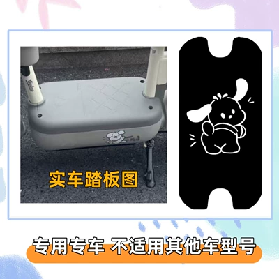 Electric vehicle foot mat: vehicle, special wire loop floor - pacha-dog-2comes-with-magic-tape-yadi-c13-special-edition