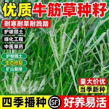 �͸��ݷN��ţ���ƺ�����ļ������F���ݹ��������o�¹������ز���