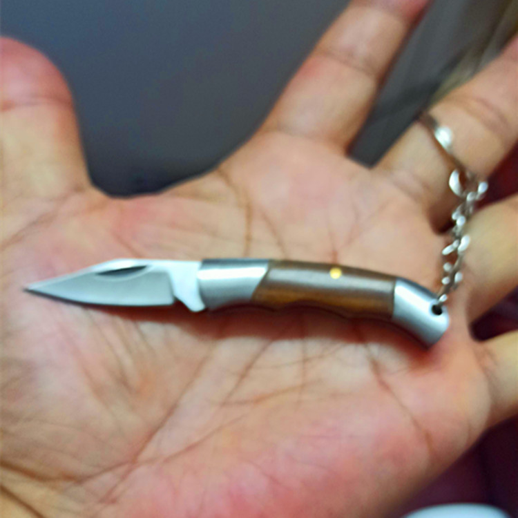 跨境专供厂家直销迷您折叠刀匙扣户外折刀小刀拆快递小刀水果刀