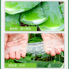 Aloe vera gel 300g with spoon aloe vera gel moisturizing moisturizing cream beauty salon product manufacturer wholesale