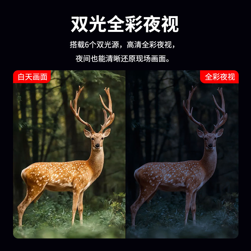 Amazon al aire libre 4G solar monitor protección forestal HD infrarrojos visión nocturna detección cámara de caza