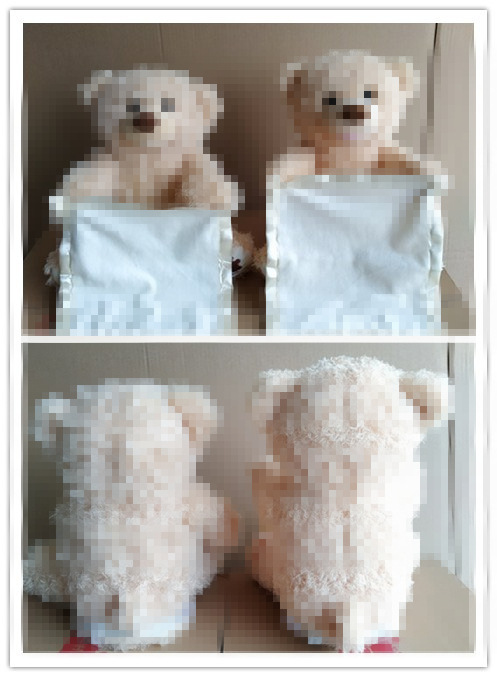 23AE2FBF9E93E55C55E6887E62044D