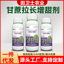 �������L���������������ѿ��o���։ѿ��������������r����Ʒ