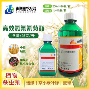 �����_�ű��Ч���\�ȷ����~���˴����xʳ���x�����rș���x��