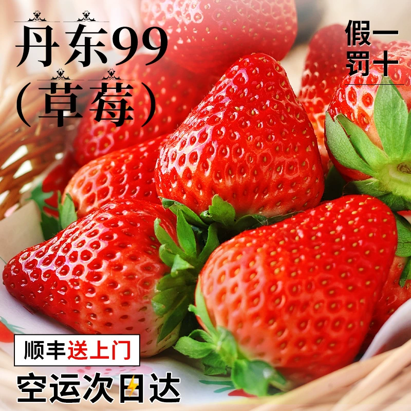Dandong 99 свежих клубники сезонный красный крем в наличии 99 молока целая коробка 3 SF бесплатная доставка