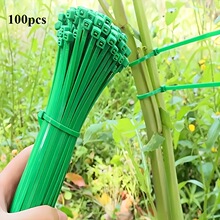 �羳����Gɫ����3.6*150mmֲ��@ˇ�[�κò�������������������