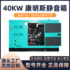 海柴メーカー直販40kwカミンズはお客様に静かなスピーカーのディーゼル発電機の環境保護防塵を提供します。