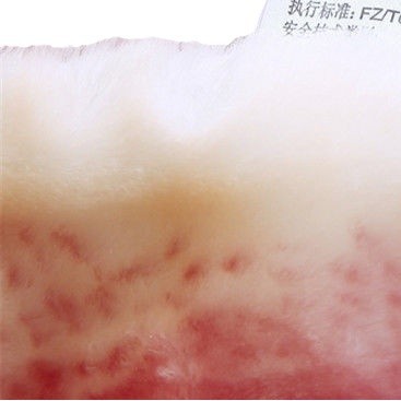 웨딩 축제 담요 겨울 담요 퀼트 2025 새로운 폭발 RASCHEL 학생 담요 더블 레이어 두껍게