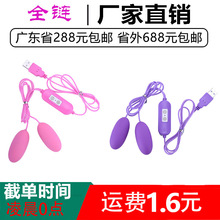 USB单双跳蛋变频遥控双震动女用自慰器调情玩具情趣用品外贸批发